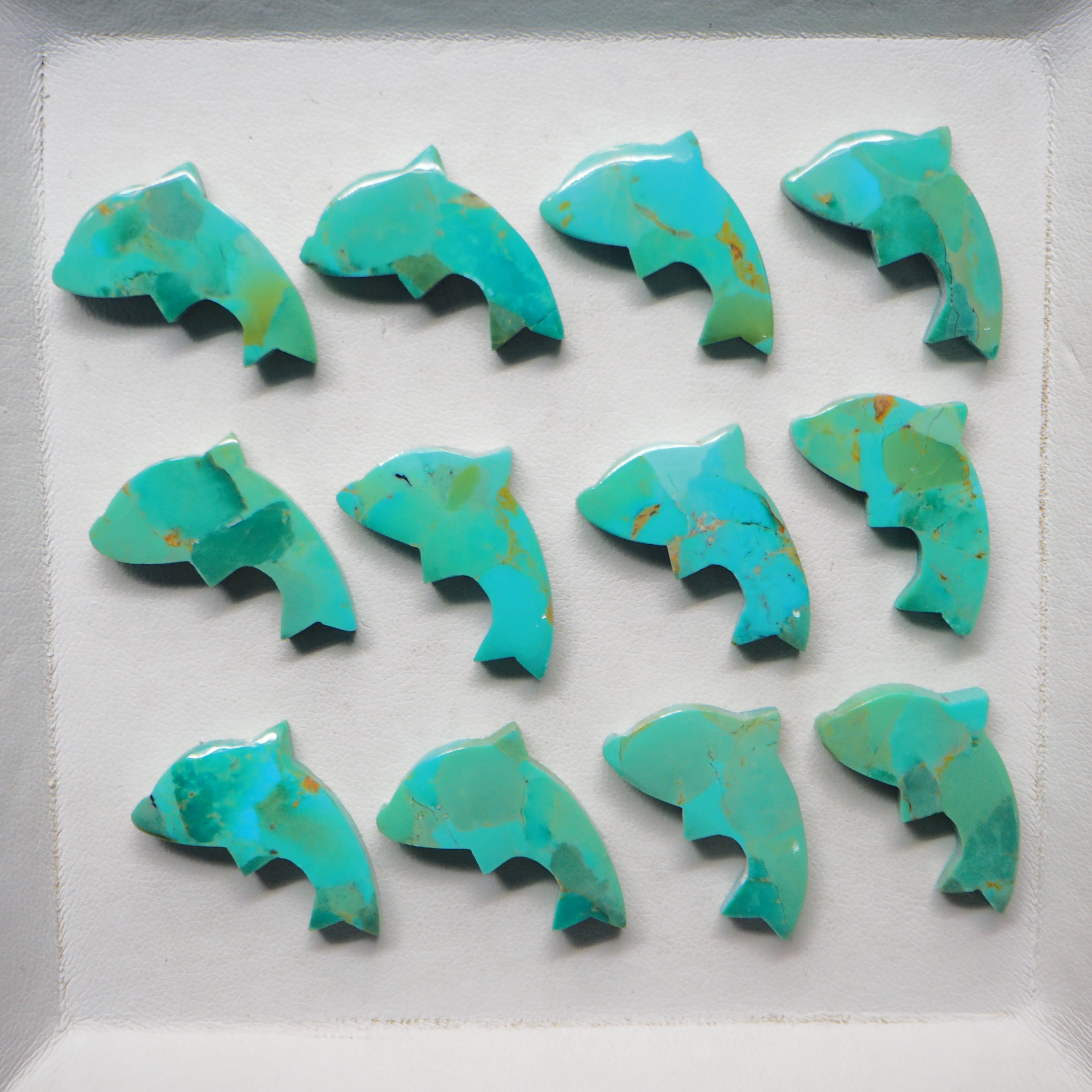 Dolphin Shape
