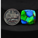 Natural Peacock Dahlia Cushion Cabochon 21x21mm 21.5ct - Peacock Blue-Green Composite - Pedra Gems