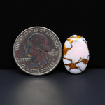 Stabilized Pink Dahlia Oval Cabochon 19x13x4mm 8.5ct - soft pink and white with bronze veining, Kingman Arizona - Pedra Gems.
