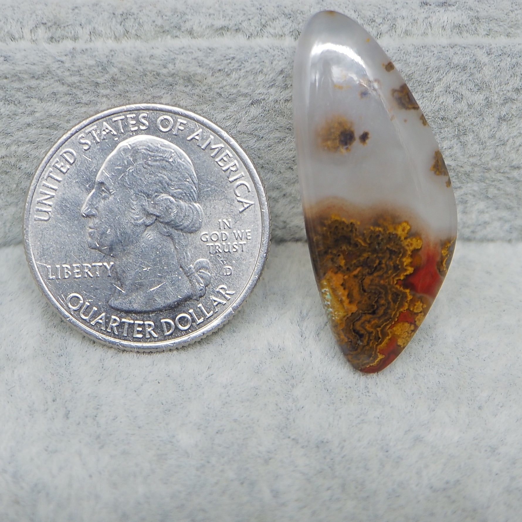  Seam Agate freeform cabochon 34x14mm next to US Quater Doller for size reference