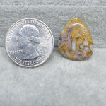 Seam Agate free form cabochon 21x17mm next to ruler for size reference