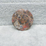 Seam Agate circle cabochon 18.5ct flat back ready to set