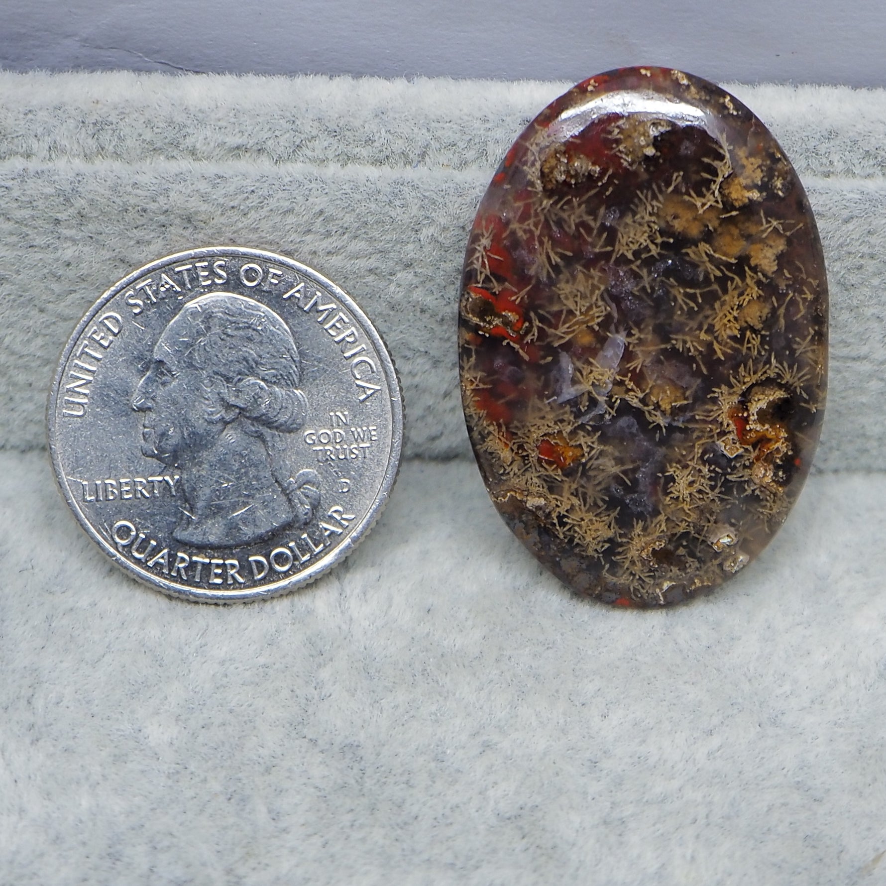 Oval-shaped jasper stone next to a U.S. quarter dollar coin on a gray surface