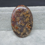 Oval-shaped stone with a textured surface on a gray background