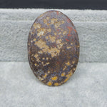 Oval-shaped stone with brown, yellow, and red speckles on a gray surface