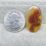 Agate stone next to a U.S. quarter dollar coin on a gray background