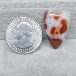 Natural Seam Agate heart cabochon 26x17mm front view banding detail deep dome