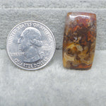 Pebble stone next to a U.S. quarter dollar coin on a gray background