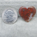 Heart-shaped red and brown stone next to a U.S. quarter dollar on a gray surface