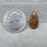 Quarter dollar coin next to a teardrop-shaped amber stone on a gray surface