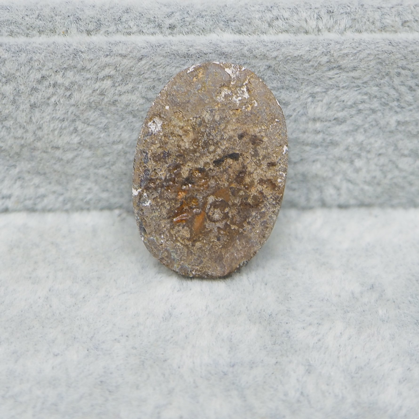  Seam Agate oval cabochon 25x18mm next to ruler for size reference Pedra Gems