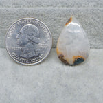  Natural Seam Agate pear shape cabochon 24x16mm front view banding detail Pedra Gems