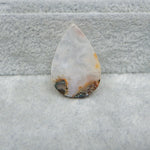 Seam Agate pear cabochon 24x16mm next to ruler for size reference Pedra Gems