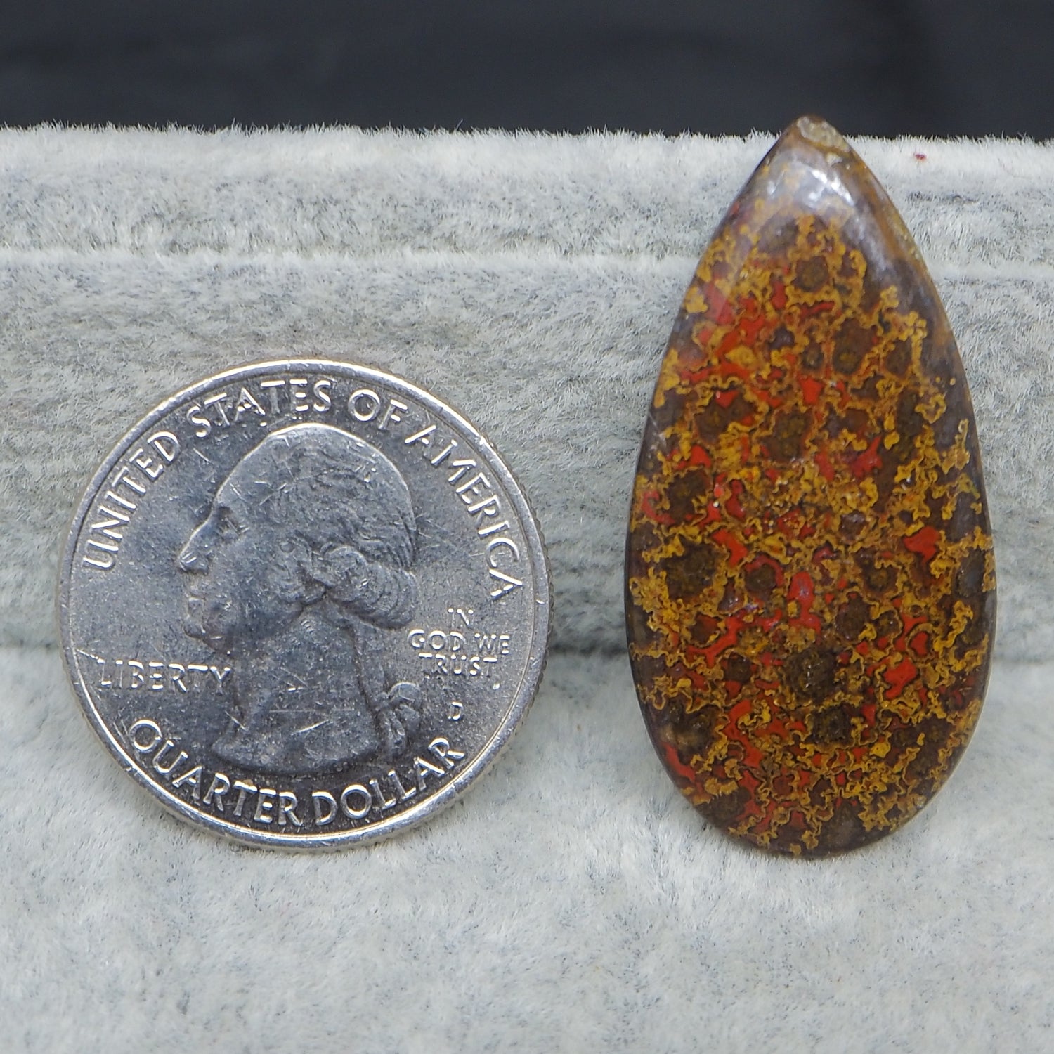 Teardrop-shaped Seam Agate stone next to a U.S. quarter dollar on a gray surface