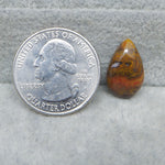 Quarter dollar coin next to a teardrop-shaped amber stone on a gray surface