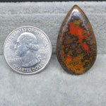 Teardrop-shaped stone with red and brown patterns next to a U.S. quarter dollar coin on a gray background