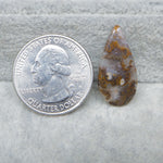 Teardrop-shaped stone next to a U.S. quarter dollar on a textured surface