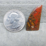 Silver quarter dollar coin next to a colorful stone on a textured gray surface