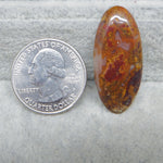 Brown oval stone next to a U.S. quarter dollar on a gray surface
