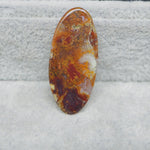 Oval-shaped stone with brown, orange, and white patterns on a gray background