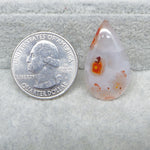 Teardrop-shaped agate stone next to a U.S. quarter dollar coin on a textured gray surface.