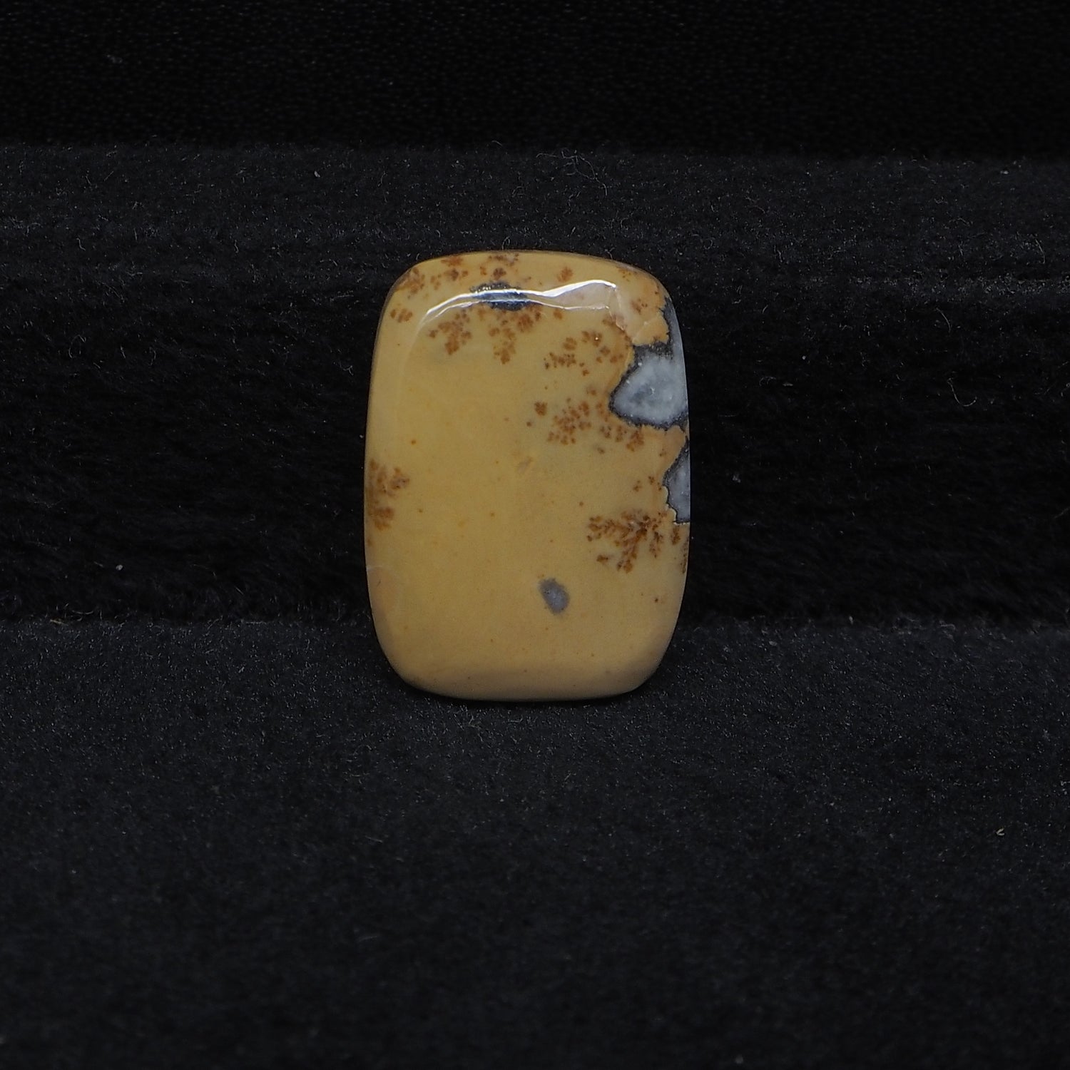 Maligano Jasper Cabochon 18x13mm 10.5ct Cushion – Pedra Gems
