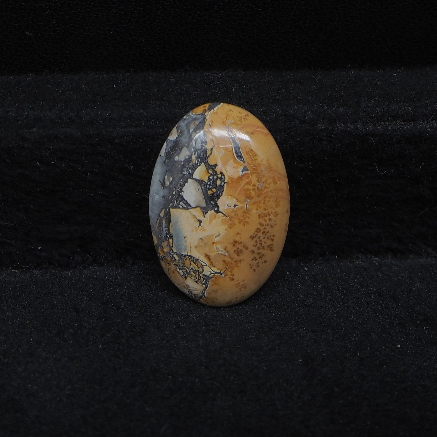 Maligano Jasper Cabochon 20x14mm 8.5ct Oval – Pedra Gems