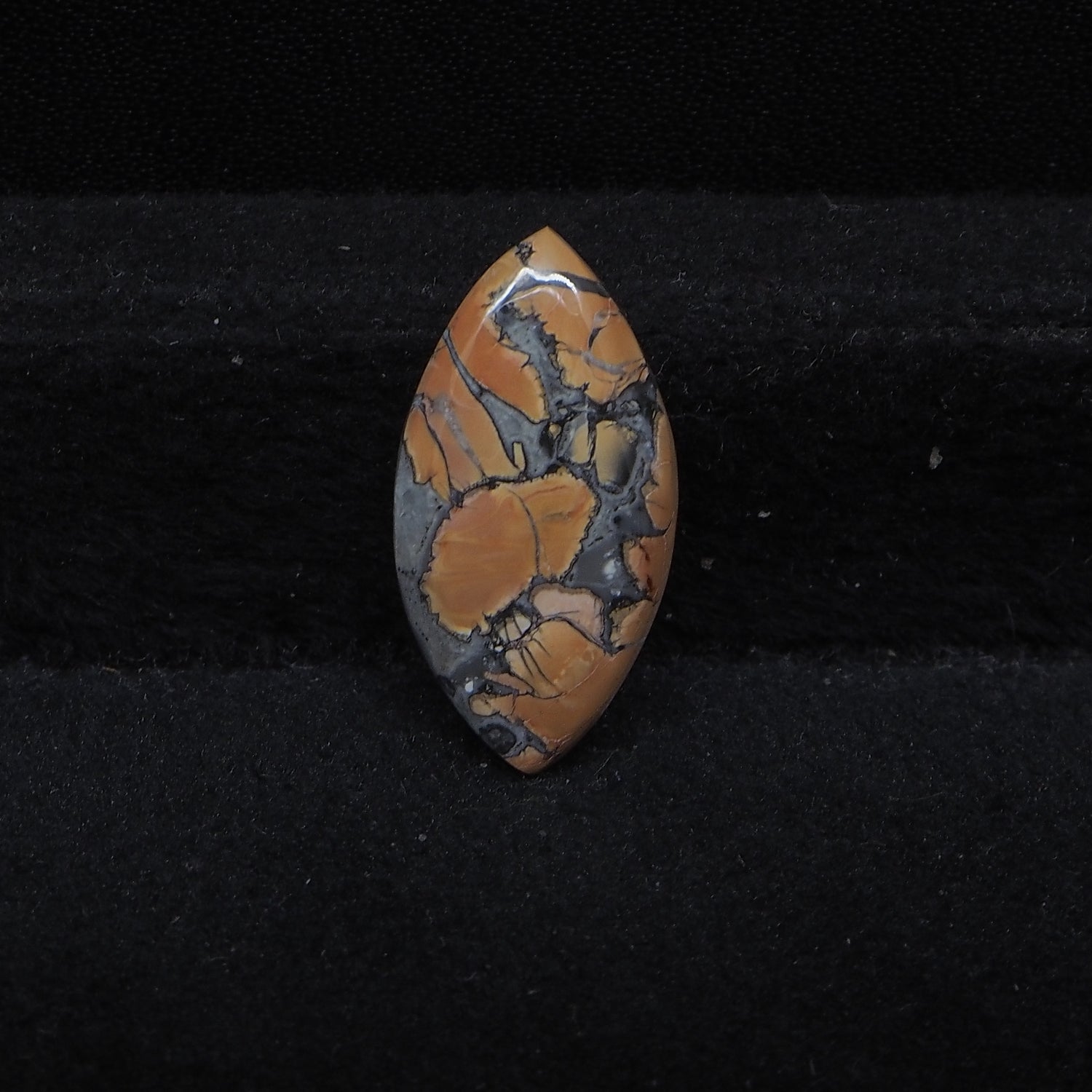 Maligano Jasper Cabochon 22x11mm 9ct Marquise – Pedra Gems