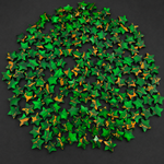 Irish Dahlia Star 10mm Calibrated Flat Gemstone - Green Gold Matrix - Pedra Gems