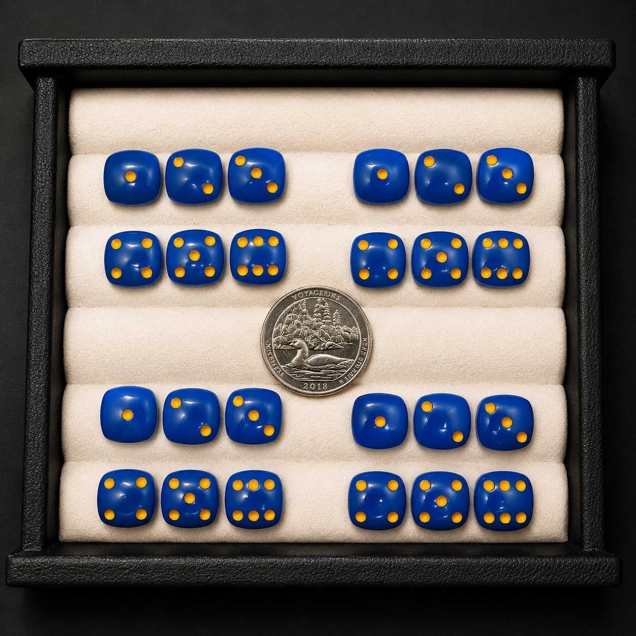 Set of blue dice with yellow dots in a display case, featuring a coin on top.