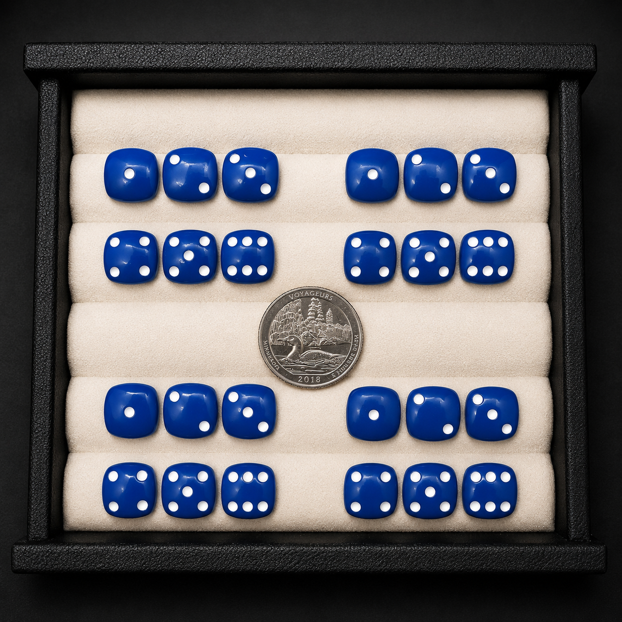 Set of blue dice with white dots arranged in a display case, accompanied by a silver coin.