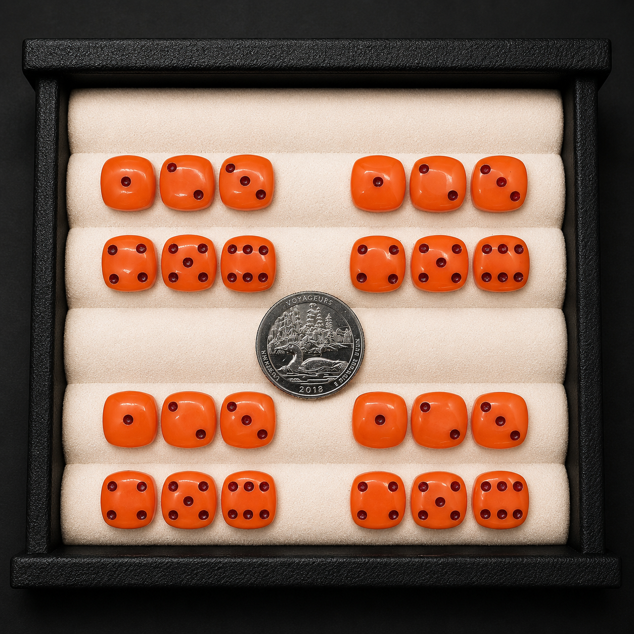 Set of orange dice with black dots in a display case, accompanied by a silver coin.
