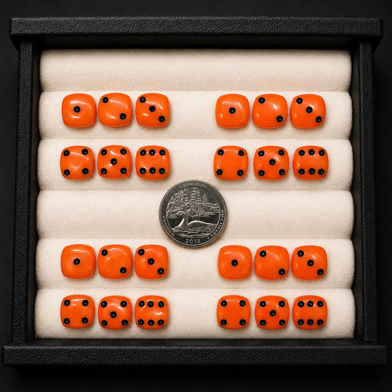 Set of orange dice with black pips in a display case, showing a quarter coin for scale.