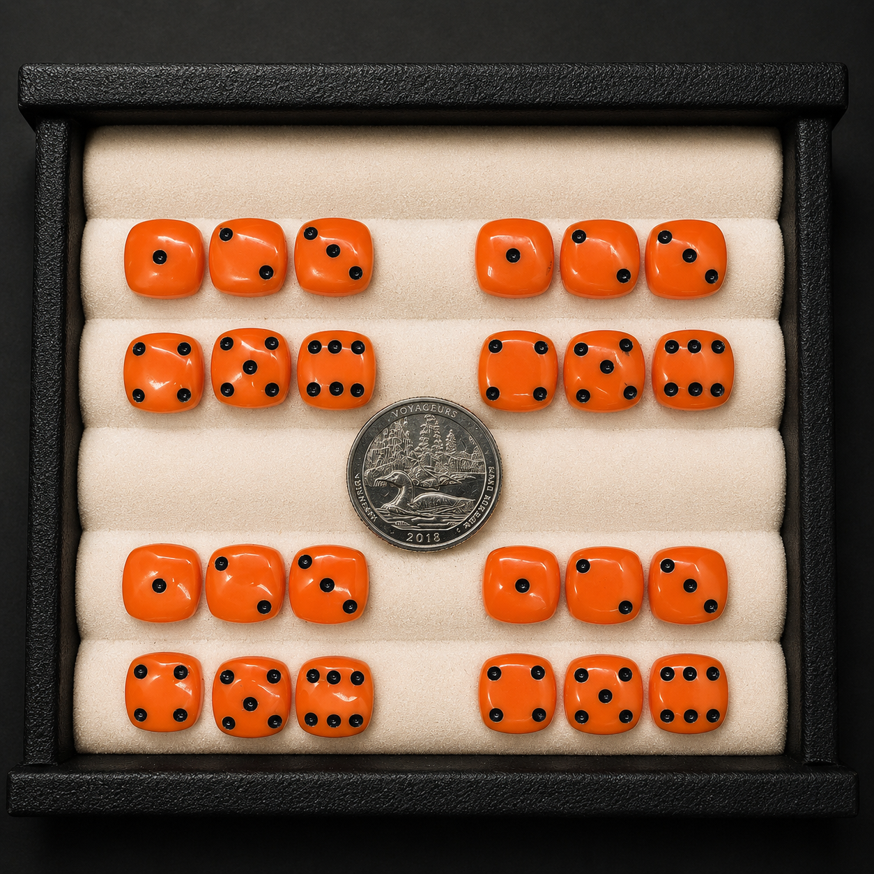Set of orange dice with black dots in a display case, showing a quarter coin for scale.