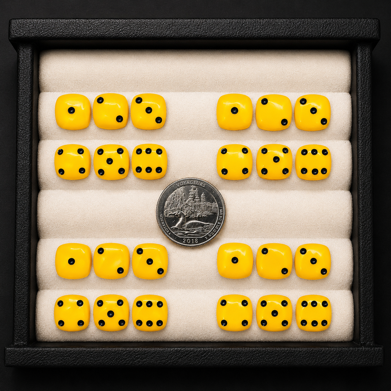 Set of yellow dice with black dots in a display case, showing a quarter for scale.