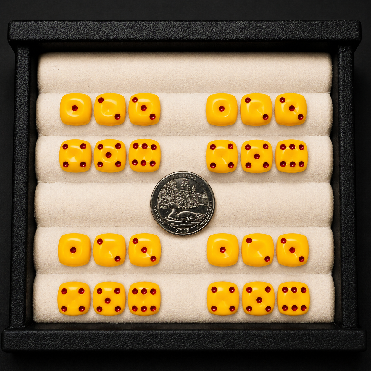 Set of yellow dice with red dots arranged in a display case, showing a quarter coin for scale.