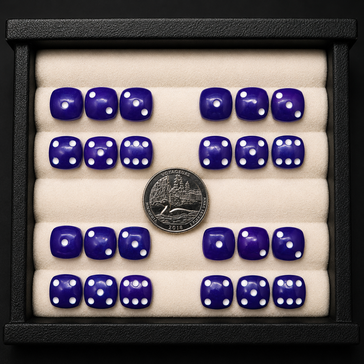 Set of blue dice with white pips in a display case, accompanied by a coin for scale.