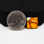 Natural Honey Dahlia Turquoise Square Cabochon 14x14mm 7.5ct - Honey Gold - Pedra Gems