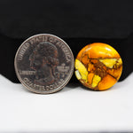 Natural Honey Dahlia Turquoise Round Cabochon 19x19mm 13.5ct - Honey Gold - Pedra Gems