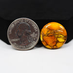 Natural Honey Dahlia Turquoise Round Cabochon 20x20mm 16.5ct - Honey Gold - Pedra Gems