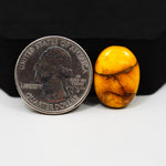Natural Honey Dahlia Oval Cabochon 19x14mm 11ct - Honey Gold - Pedra Gems