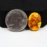 Natural Honey Dahlia Oval Cabochon 20x14mm 11.5ct - Honey Gold - Pedra Gems