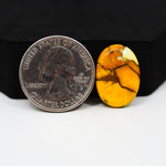 Natural Honey Dahlia Oval Cabochon 20x14mm 11ct - Honey Gold - Pedra Gems