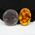 Natural Honey Dahlia Oval Cabochon 26x18mm 18.5ct - Honey Gold - Pedra Gems
