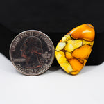 Natural Honey Dahlia Freeform Cabochon 28x18mm 15ct - Honey Gold - Pedra Gems