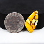 Natural Honey Dahlia Freeform Cabochon 27x13mm 11.5ct - Honey Gold - Pedra Gems