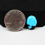 Buffalo Oval Cabochon 16x12mm 6ct - Blue with Black Base - Pedra Gems