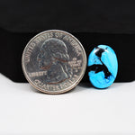 Buffalo Oval Cabochon 16x11mm 6.5ct - Blue with Black Inclusions - Pedra Gems