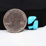 Buffalo Cushion Cabochon 14x11mm 5.5ct - Blue with Diagonal Black Band - Pedra Gems