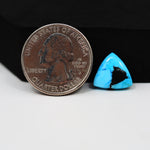 Buffalo Trillion Cabochon 13x12mm 4ct - Blue with Black Corner - Pedra Gems